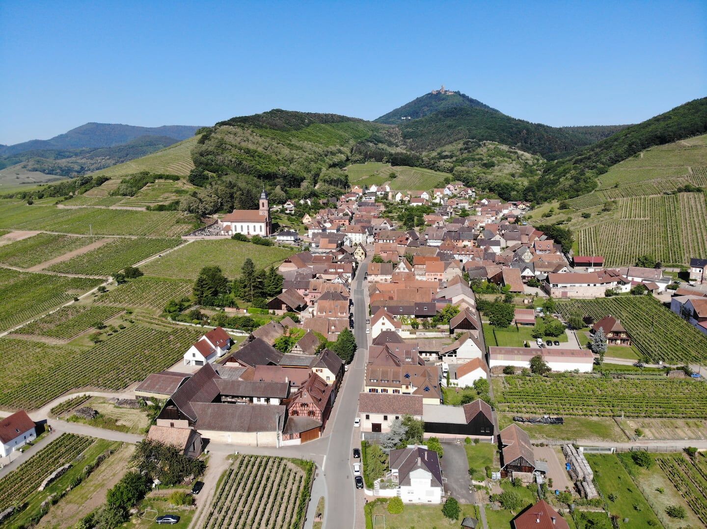 Le vignoble d'Orschwiller et le Château du Haut-Koenigsbourg en Alsace